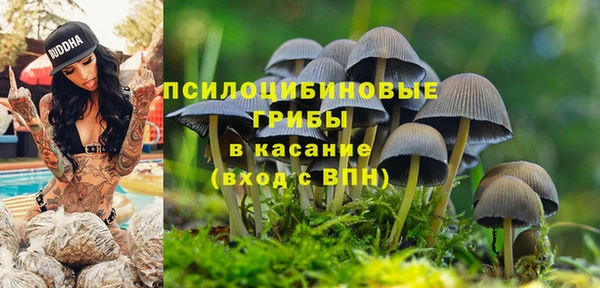 ECSTASY Алексин