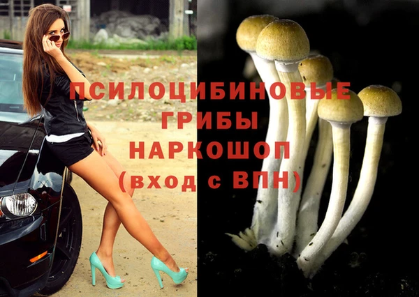 прущий лед Алзамай
