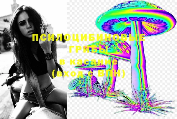 ECSTASY Алексин