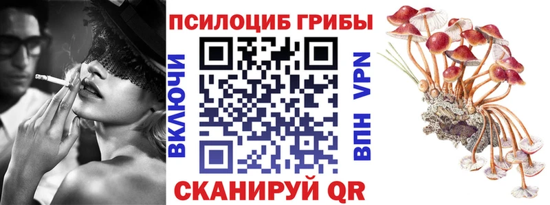 Галлюциногенные грибы Cubensis где можно купить Вышний Волочёк